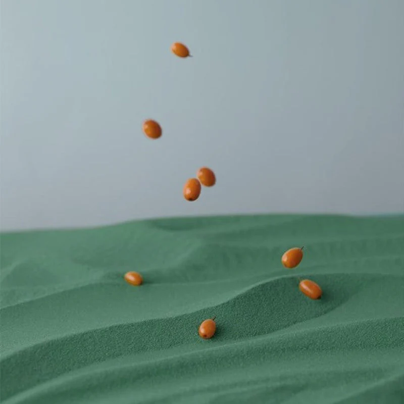 Miniatura 7